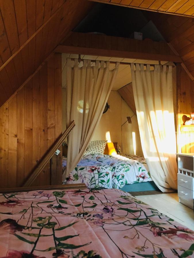 Domek Nad Jeziorem Otalzyno Pomieczyno Eksteriør billede